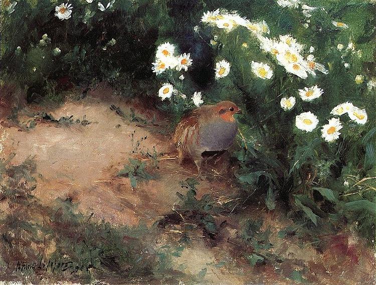 bruno liljefors Partridge with Daisies